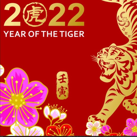 Tiger earrings! 2022 The Chinese Year of the Tiger. - Picture 4 of 6